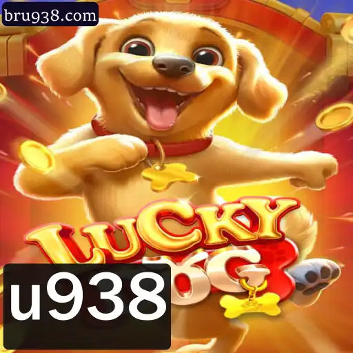 Descubra LuckyDog: O Jogo de Sorte e Estratégia Que Conquista os Jogadores